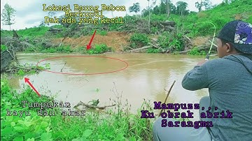 Ini Dia Lokasi Mancing Ikan Baung,,Kalau Dapat Lokasi Seperti ini Di Jamin Panen Baung Babon👍🏻👍🏻