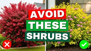 5 Small Garden Shrubs You Should Avoidwhat To Plant Instead