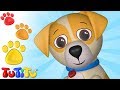 Animaux | Mammifères 3 | Et autres animaux | - Apprendre les noms d&#39;animaux avec TuTiTu