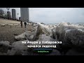 На Амуре у Хабаровска начался ледоход