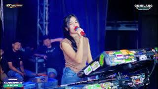 ELANG CACA IMUT - D'STORY MUSIC - PARTY SEASON 4 SPEKK GENERATION - PENGKOL KALIORI REMBANG