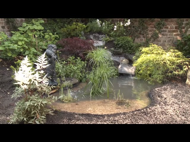 Bassin préformé 1000 L : Création de bassin de jardin OASE jardin - botanic®