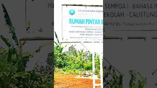 Virtual Walking Menyusuri Gang Besar Kampung 🚗🌿 Suasana Tenang dan Nyama