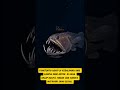 Fakta Fangtooth Fish: Ikan 15 Cm Ini Giginya 1/3 Panjang Badannya! #FaktaHewan #LautDalam #Shorts