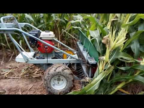 Video Corn Maize Reaper Made in Vietnam - youtube