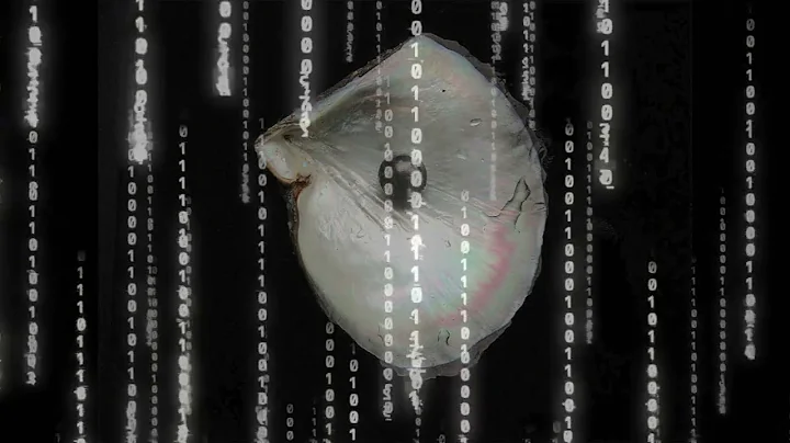 Z - WINGS LIKE EAGLES