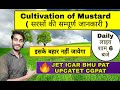 Cultivation of Mustard ( सरसों की सम्पूर्ण जानकारी )