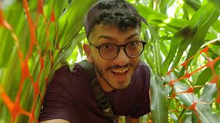 Kula Country Farms | Pumpkin Patch