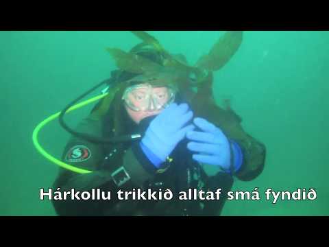 Óttarsstaðir september 2017