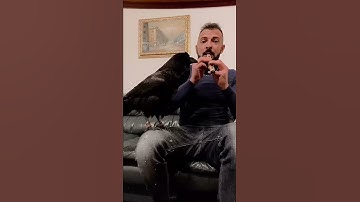 Thumbnail of Man Plays Flute While Raven Sings Along