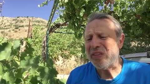 قراءة مجودة من سورة الأنعام للشيخ احمد الطرابلسي