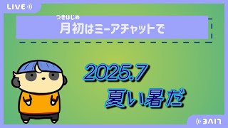 【雑談】月初はミーアチャットで【#14 夏い暑だ】