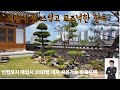 세종시 멋스럽고 고즈넉한 한옥 /지대 높아 뷰 좋고, 200평 이상 대지 가능 입지 주택