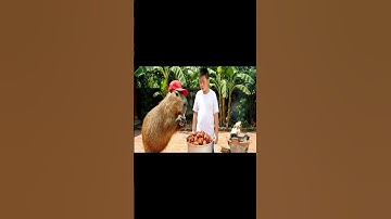 Capy cùng anh nấu nồi kho và cái kết #capybara #vuive #giaitri #cuocsongcuacapy