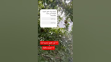 ماهي السورة التي سميت بالفاضحة