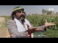 الحلقة الربعة مسلسل الزوبعة شاهد كيف نهاية ابو الف وهو بيدور الزكاة الزوبعة سهيل اليمن Yemen 