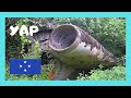 MICRONESIA: 1980 BOEING 727 ✈️ crash site, forests of YAP (Pacific Ocean), rare views!