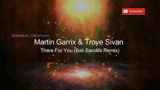 ♛  Martin Garrix & Troye Sivan - There For You @Emmanuel Creations ✔