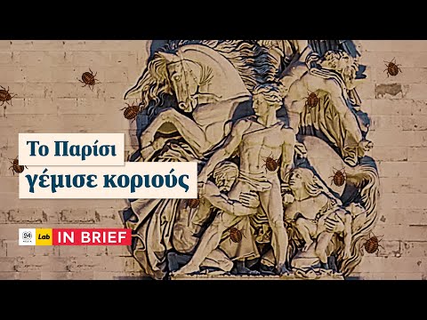 Το Παρίσι γέμισε κοριούς | NEWS 24/7