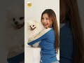 CTWANT 娛樂星聞 / 申力安對狗毛過敏猛吞藥　預約十年後要愛犬當婚禮花童