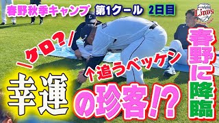 縁起のいい○○降臨！？シートノックでは全員で緊急ミーティング【春野秋季キャンプ第1クール2日目】