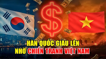 Sự Thật Bị Che Dấu: Hàn Quốc Giàu Lên Nhờ Chiến Tranh Việt Nam