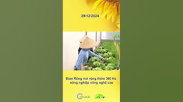 Đam Rông mở rộng thêm 300 Ha nông nghiệp công nghệ cao