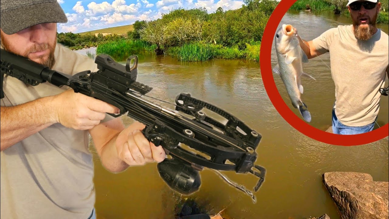 Tactical Mini Crossbow Bowfishing for Eat'n Fish 