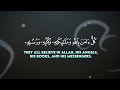 Quran • ULTIMATE SLEEP PLAYLIST   Jinn • Anxiety • Insomnia   ONE HOUR   Fatih Seferagi