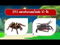 EP3 ตอบคำถามอะไรเอ่ย 10 ข้อ | VGameKids