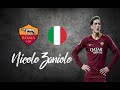 Nicolò Zaniolo ● Skills, Shots, Dribbles ●│2019 - 2020│►HD
