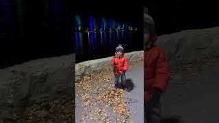 Лёва сам в 4 года сделал осенний салют ,провожаем лето ,теплые вечерние прогулки