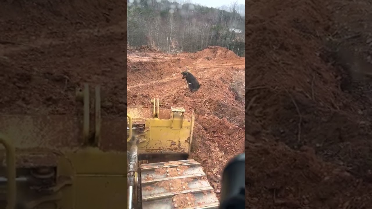 Cutting rock and slot dozing