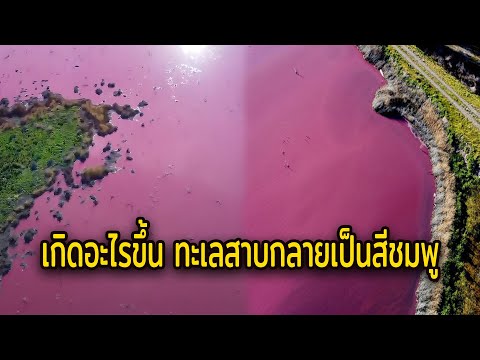 วีดีโอ: ทะเลสาบช่วยสิ่งแวดล้อมได้อย่างไร?