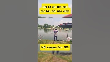 một khi cá đã mút ốc vào mồm thì tuổi j đòi nhả 🤣 #cauca #dungnguyenfishing #fishing  #caucagiaitri