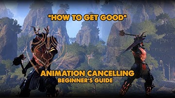 ESO - How To Get Good - Animation Cancelling for Beginners