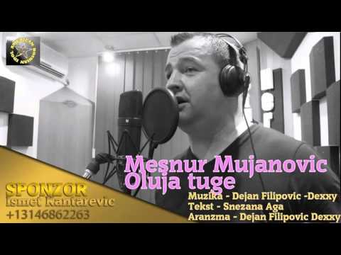 Mensur Mujanovic - Oluja tuge (2015)