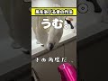 「では、もう一度。」風を浴びるゆきまる氏の終わらない儀式 #shorts