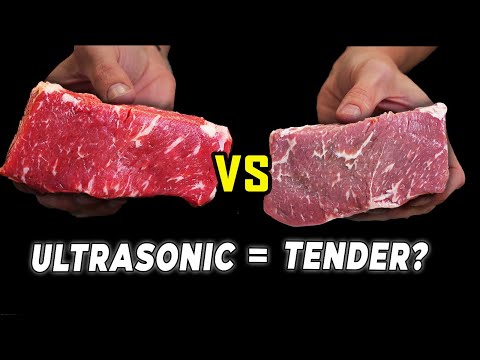 Can We Tenderize Steak Using an Ultrasonic Cleaner??