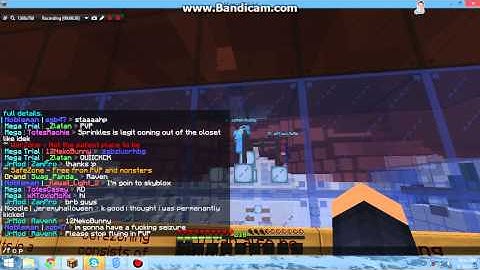 OmegaRealm Reports - 12NekoBunny Flying in pvp arena