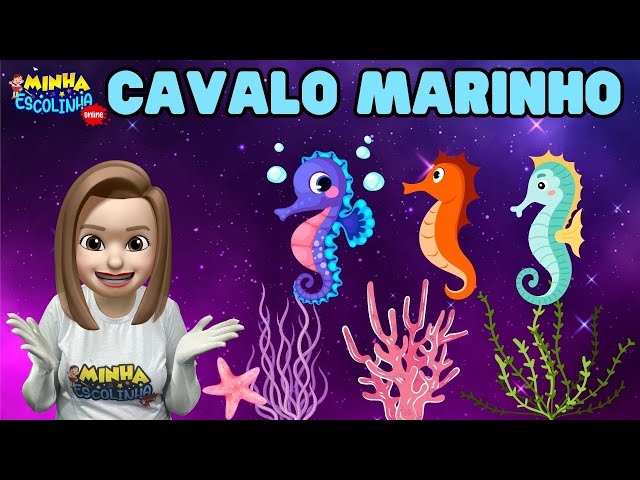 Cavalo Marinho G3 - Educação Infantil - Videos Educativos - Atividades para Crianças