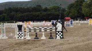 Cooley Hidden Cyclone- Millstreet