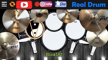 Blink-182 || Stay Together For The Kids || RealDrum || Cover