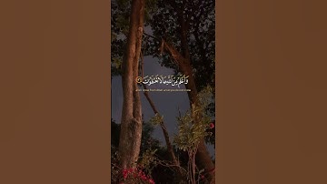 "إنما أشكو بثي وحزني إلى الله"#سورة_يوسف #قرآن #القرآن_الكريم #تلاوات_خاشعة #الشيخ_خالد_الجليل
