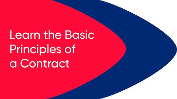 Learn the Basic Principles of a Contract
