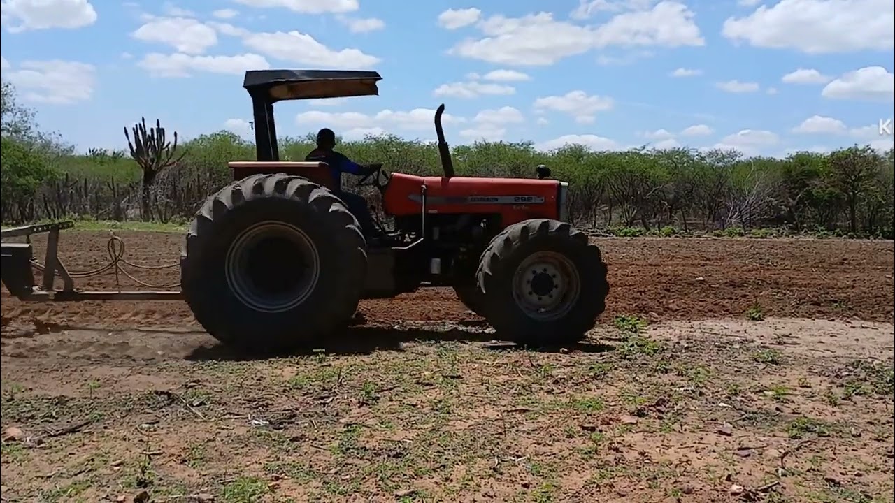 Gradeando a terra pro plantio