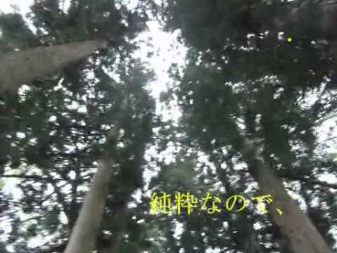 【鏡音リン】屠殺ごっこの後で【童話風オリジナル】PV