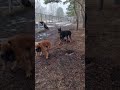 Засекли нас Засекли нас