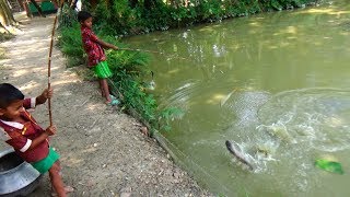Download Best Fishing Video | Kids Fishing By Daily Village Life Part-10 Video MP3 Best Fishing Video | Kids Fishing By Daily Village Life Part-10