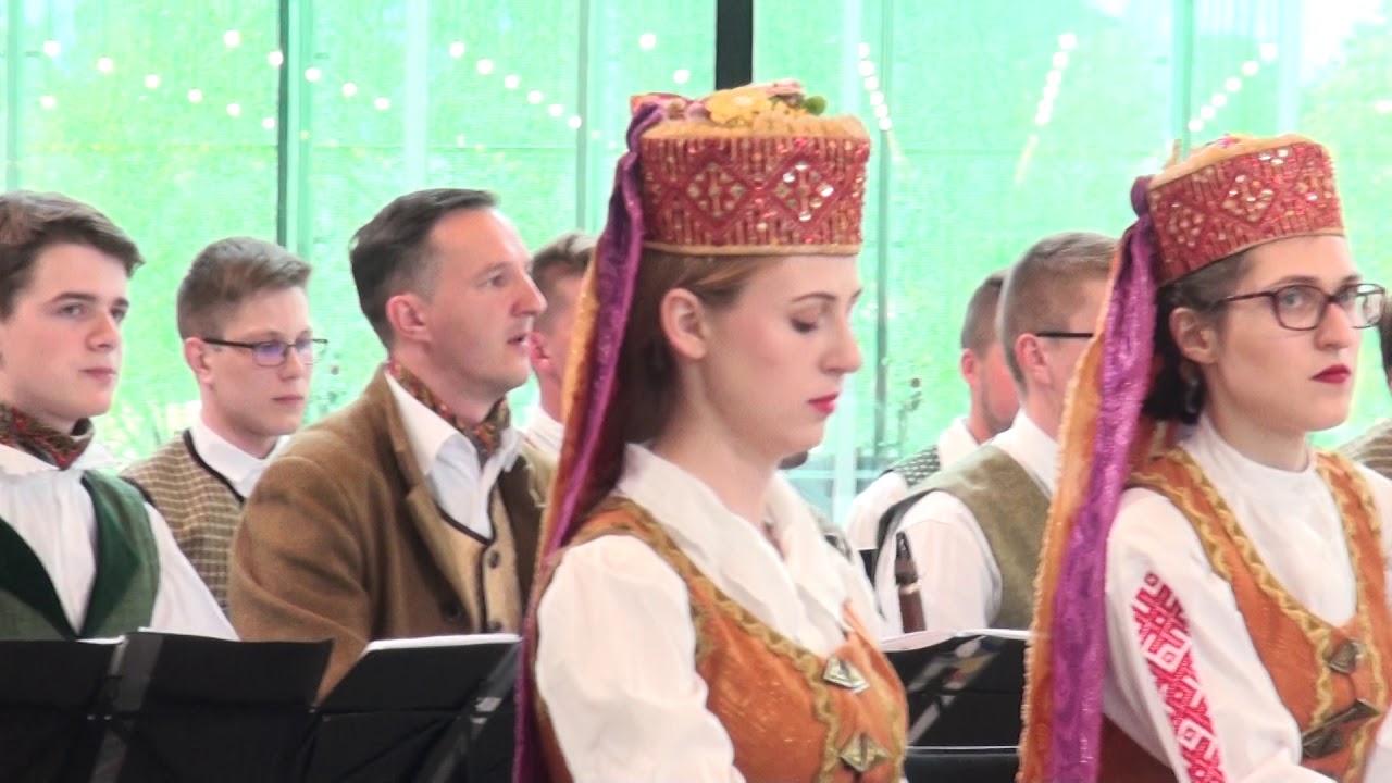 00301 “Gaudeamus 2018” . Special concert by Lithuanian folk musicians Fragment.